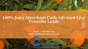 merchant cash advance lead live transfers